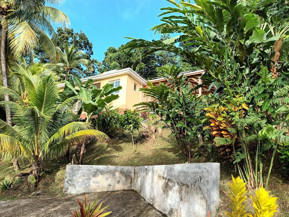 Martinique La Petite Maison Dans La Colline Le Lamentin 0*,