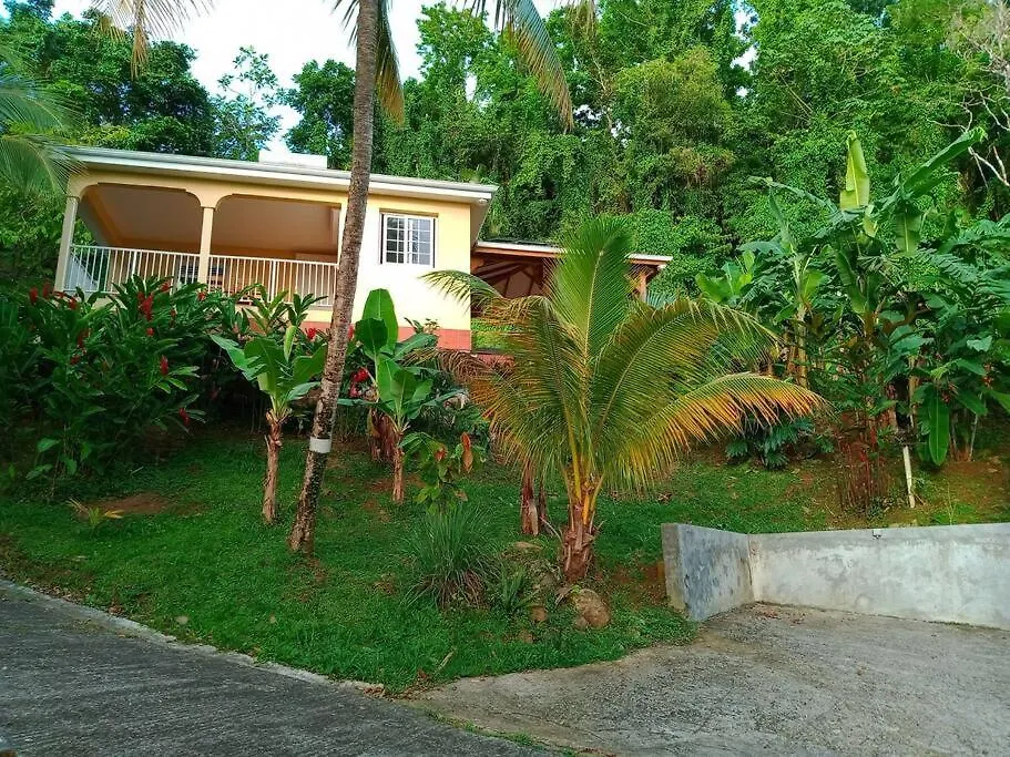 Martinique La Petite Maison Dans La Colline Le Lamentin 0*,  Martinique