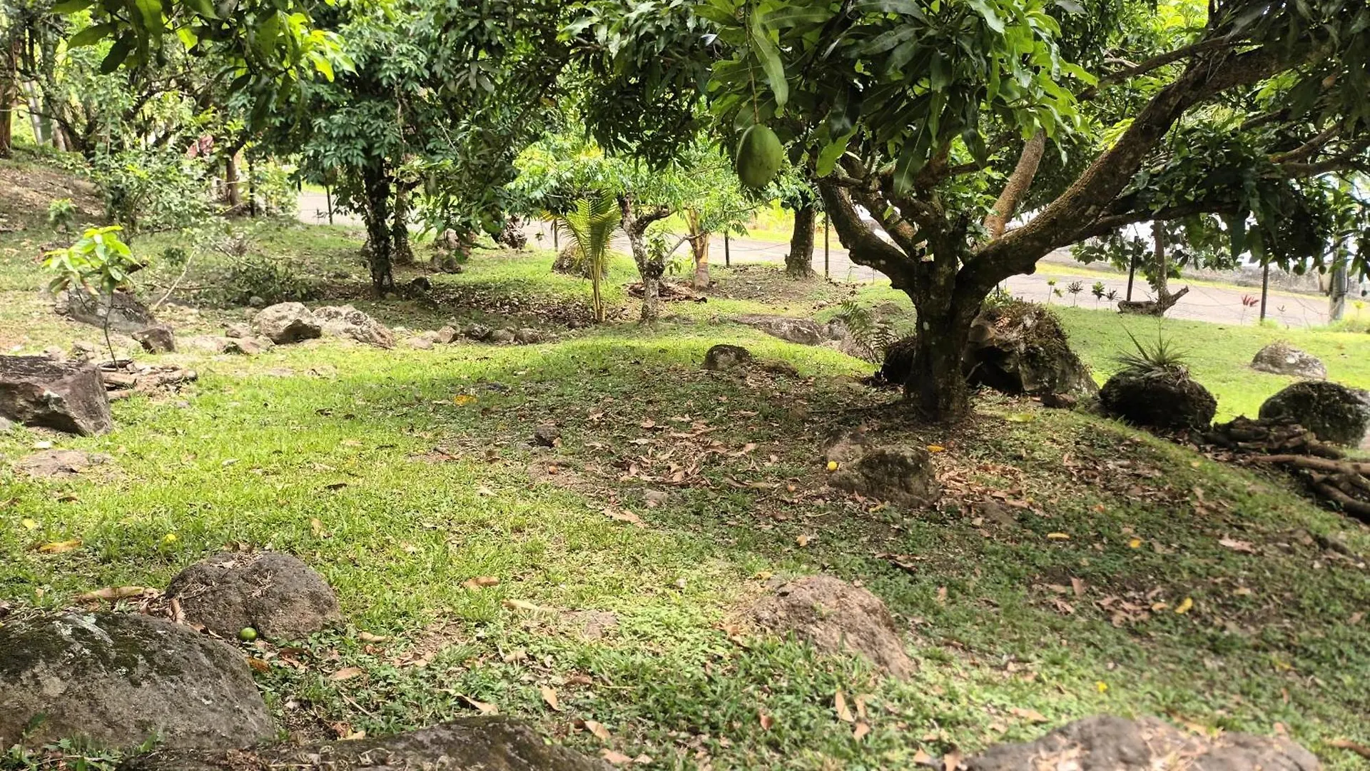 Martinique La Petite Maison Dans La Colline Le Lamentin Martinique